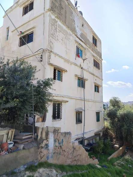 عمارة استثمارية للبيع في الهاشمي الجنوبي بسعر حرق - 2