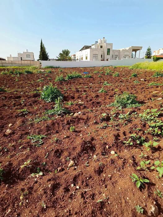 أرض سكنية فاخرة في إربد, بشرى - فرصة استثمارية نادرة