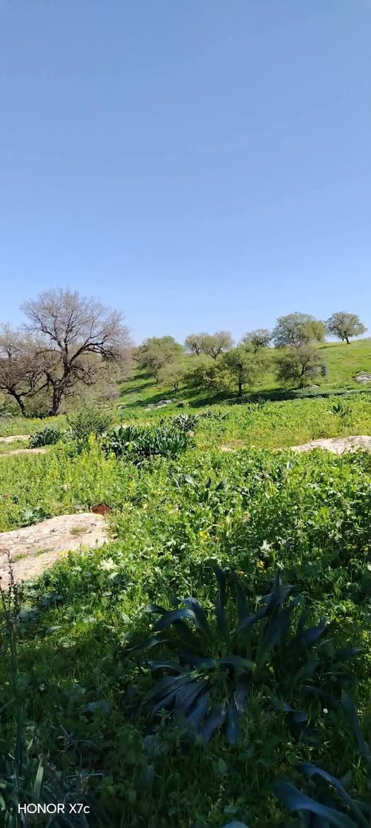 أرض زراعية للبيع في زبدة الوسطية