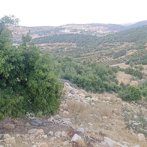 أرض استثمارية فاخرة في عجلون - وادي عبين
