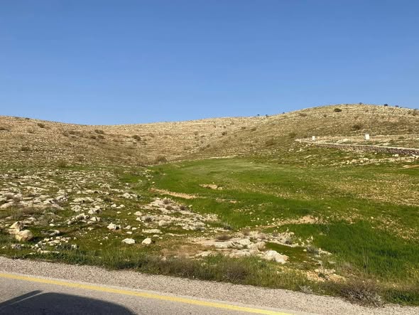 أربع قطع أراضي استثمارية في غرب غريسا - 5
