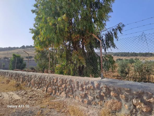 مزرعة مع بيت 3.5 دونم في المدور - فرصة نادرة - 2