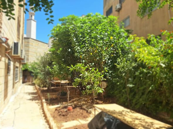 شقة فاخرة للبيع في إربد الحي الشرقي - 5