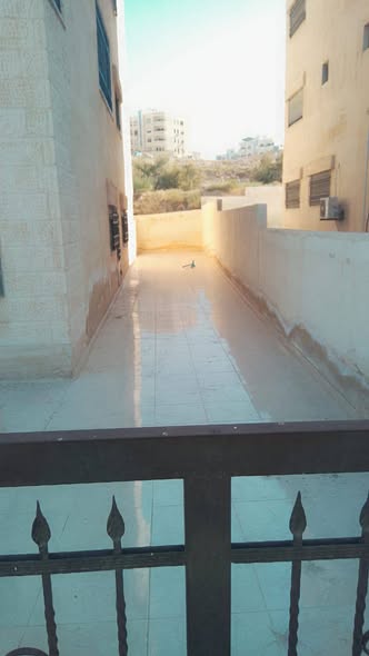 شقة فاخرة للبيع في الزرقاء الجديدة - موقع مميز - 3