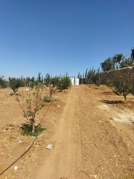 مزرعة نموذجية للبيع في موقع مميز - 2