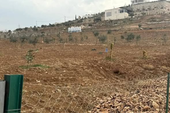 أرض سكنية ومزرعة جاهزة للبيع في جرش - 3