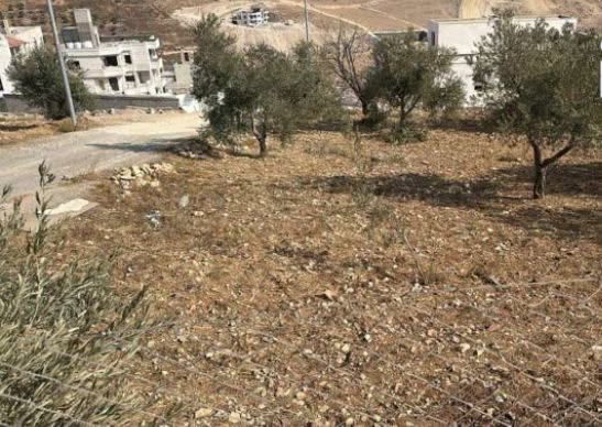أرض سكنية مميزة في السرو – الميسة