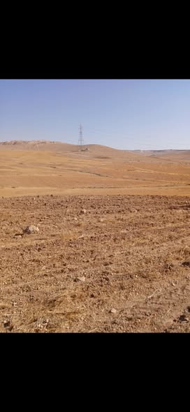 أرض للبيع في بلعما - المفرق - 2