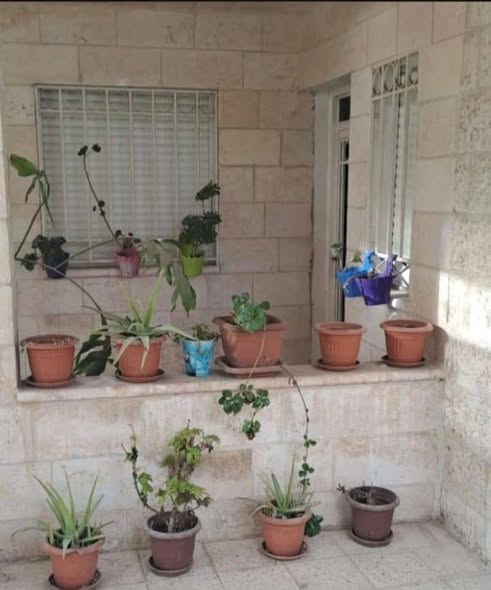 شقة فاخرة للبيع في مجمع عمان مع حديقة خاصة - 2