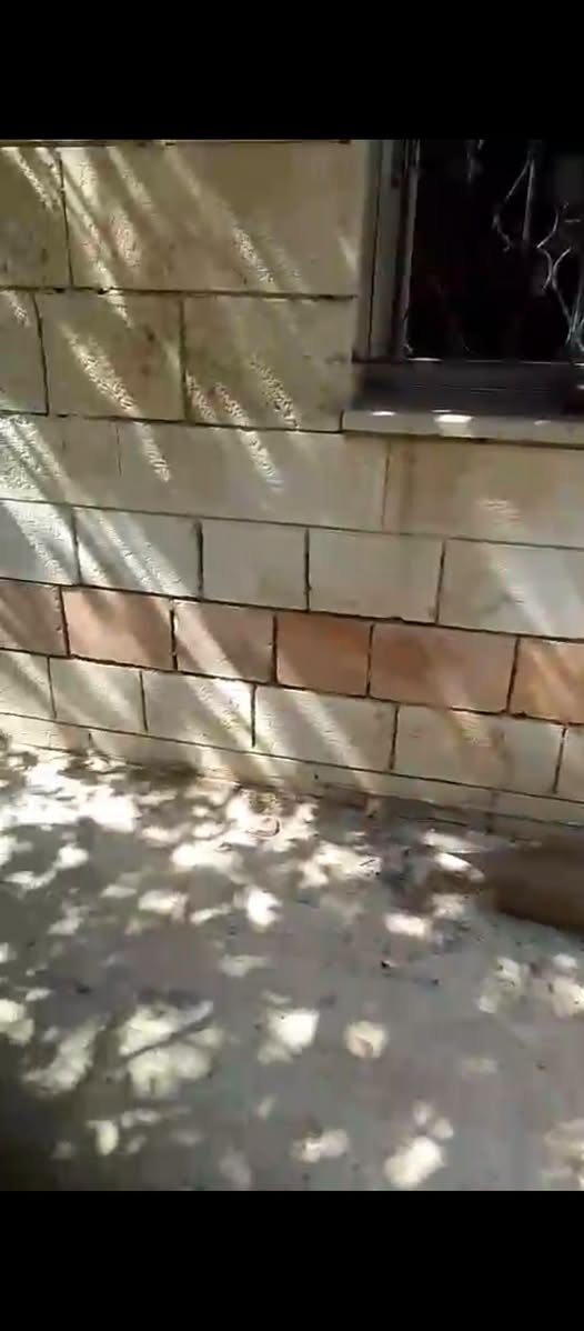 منزل مستقل للبيع في القويسمة بسعر مميز