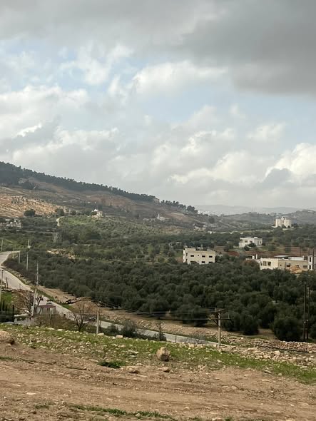 فرصة استثمار وسكن لا تعوض في جرش - عنيبة - 3
