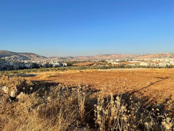أرض سكنية مميزة للبيع في عين الباشا - فرصة استثمارية