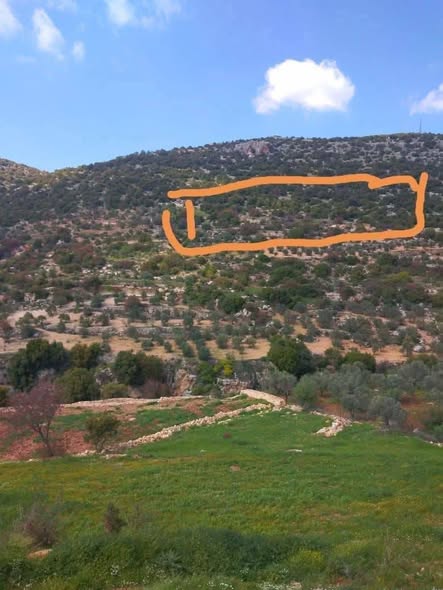 أرض حرجية بإطلالة خلابة 9 دونم في عجلون - سعر مغري - 3