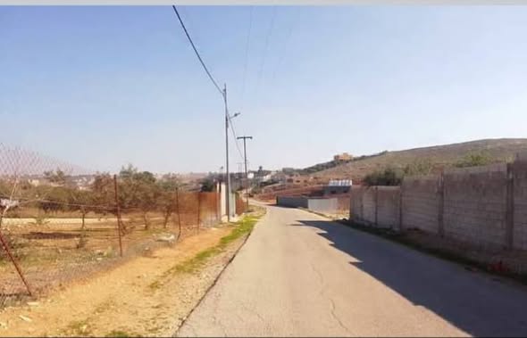 مزرعة استثمارية للبيع في الفيحاء - مادبا - 2