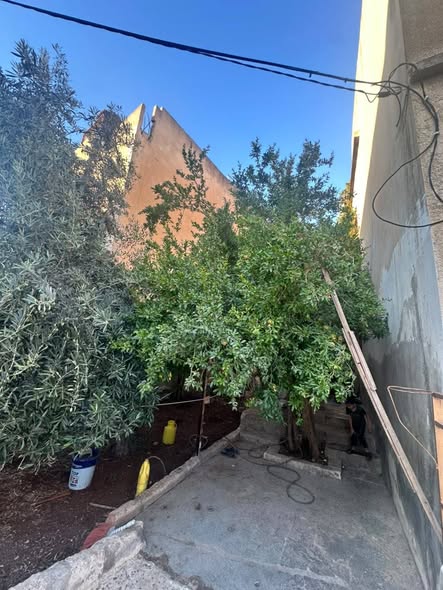 منزل مستقل طابقين بسعر شقة في إربد - 3