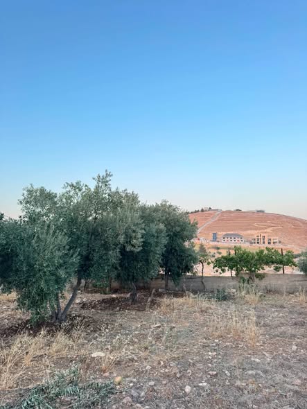 أرض سكنية فاخرة في مدينة السرو الجديدة - فرصة استثمارية لا تعوض - 5