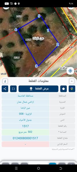 أرض مميزة للبيع في عين الباشا - فرصة استثمارية لا تتكرر