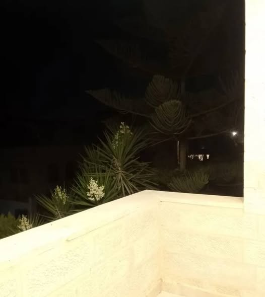 شقة طابقية فاخرة للإيجار في البنيات - 4