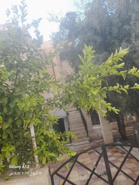 بيت مستقل للبيع على أرض 480م بسعر شقة! - 2