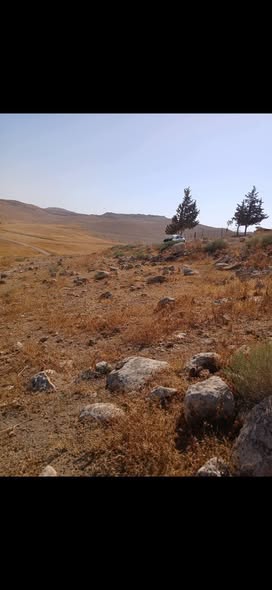 أرض زراعية استثمارية للبيع في بلعما، المفرق