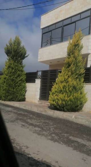 عمارة فاخرة للبيع في الجويدة - فرصة استثمارية - 3
