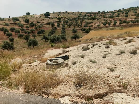 أرض سكنية فاخرة في خطلة - 3