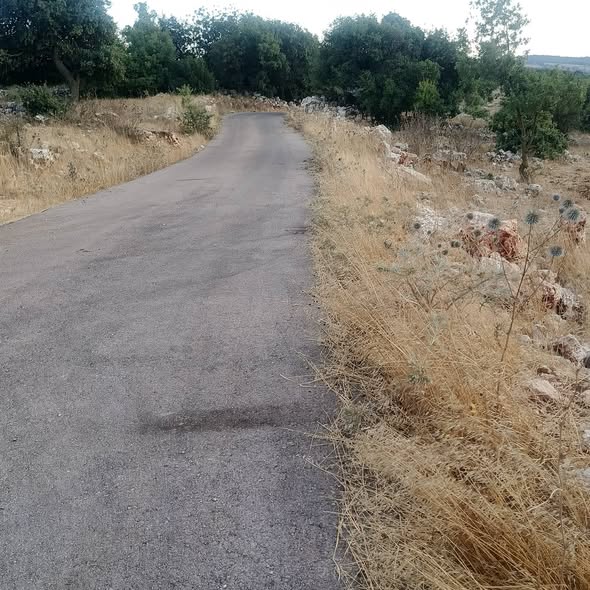 أرض سكنية للبيع في عين جنة بإطلالة ساحرة على قلعة عجلون - 3