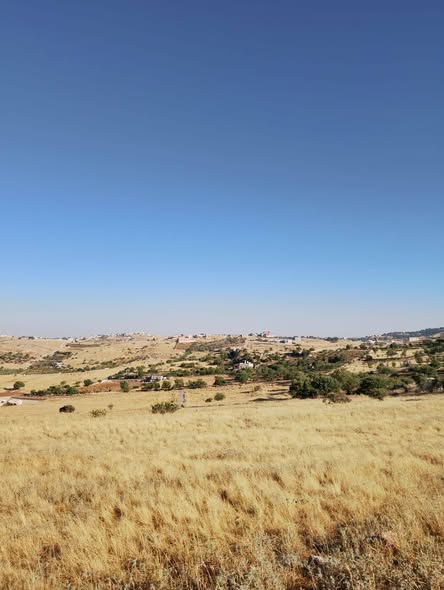 أرض استثمارية للبيع في عجلون - رأس جبل - 2