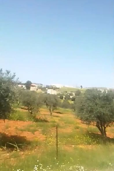 مزرعة سكنية مع بيت في حمامة، إربد - 5