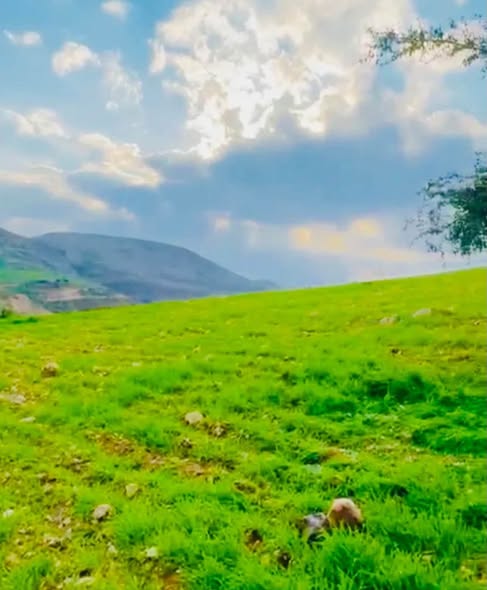 فرصة استثمارية ذهبية: أرض مميزة في ماحص