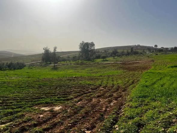 أرض استثمارية فاخرة في عين والمعمرية