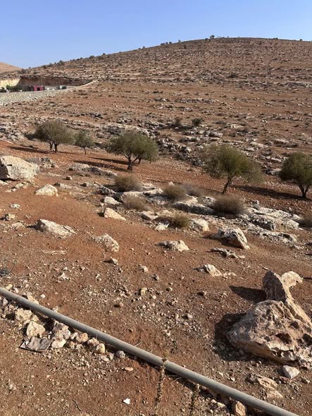 أرض زراعية فاخرة في دحل حميد للبيع - 4