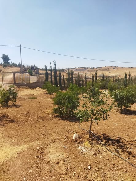مزرعة نموذجية للبيع