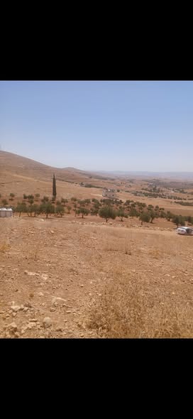 أرض استثمارية للبيع في بلعما - فرصة نادرة - 3