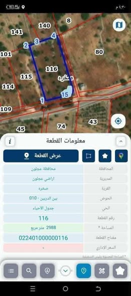 مزرعة زيتون مثمرة للبيع في صخرة - فرصة استثمارية