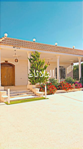 بيت مستقل وأرض واسعة في المفرق – فرصة لن تتكرر للبيع السريع - 4