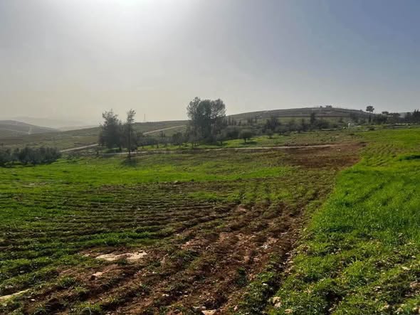أرض للبيع بالتقسيط في بلعما - 3