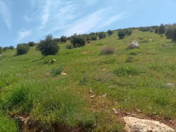 أراضي مميزة للبيع في مواقع حيوية متعددة - 4