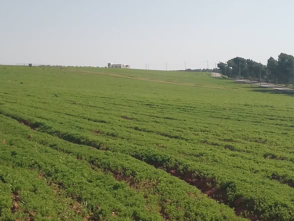 أرض للبيع في ماعين بإطلالة رائعة - 4