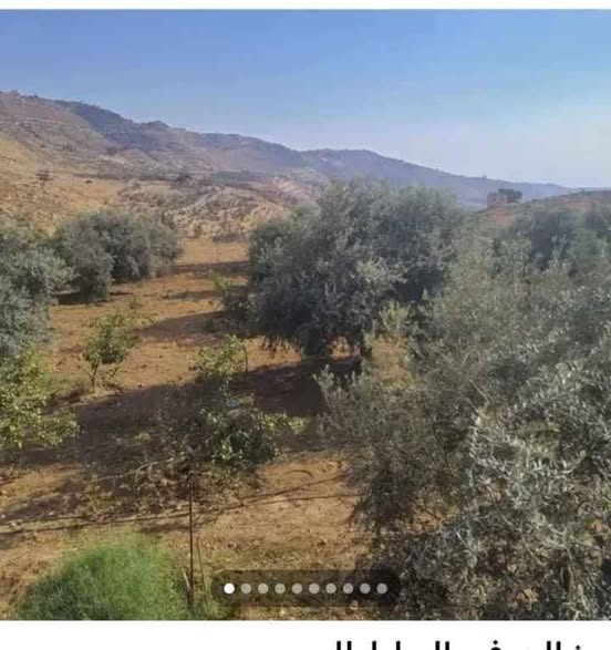 شاليه فاخر مع بيت ريفي وبركة سباحة في السلط