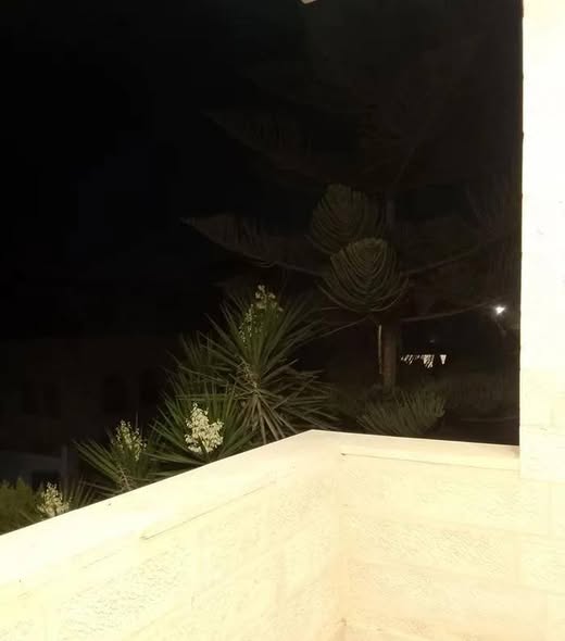 شقة فاخرة للإيجار في البنيات - 240م - 5
