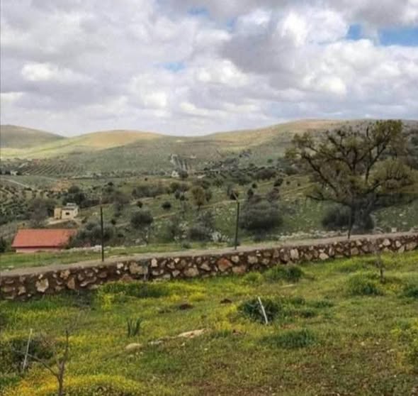 أرض فاخرة للبيع في العالوك - 3