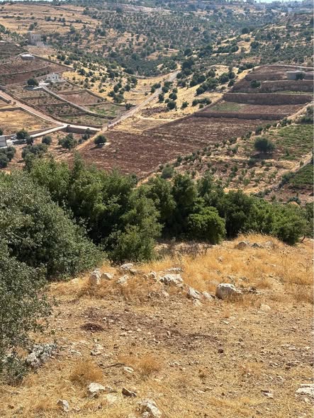 أرض سكنية رائعة في عجلون - صخرة - 3