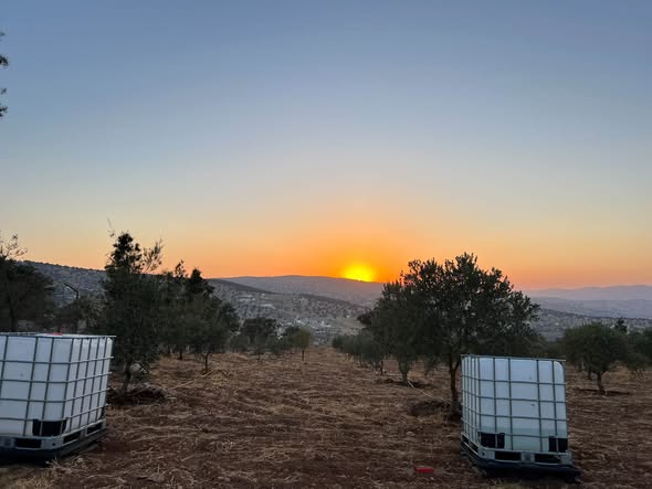 أرض حرجية بإطلالة شمالية غربية في العالوك - فرصة نادرة - 2