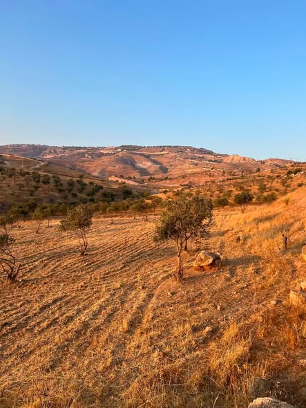أرض زراعية للبيع في الصبيحي بإطلالة رائعة - 2