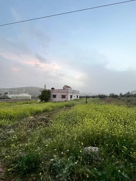 أرض سكنية نخبوية مع بيت زيتون - 3