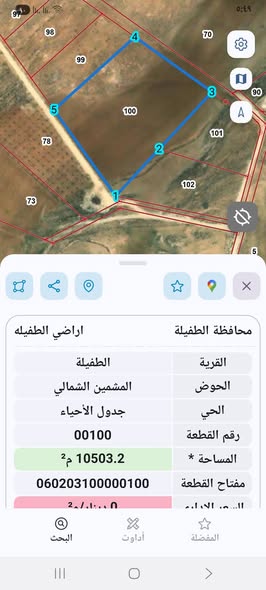 أرض زراعية استثمارية للبيع في الطفيلة