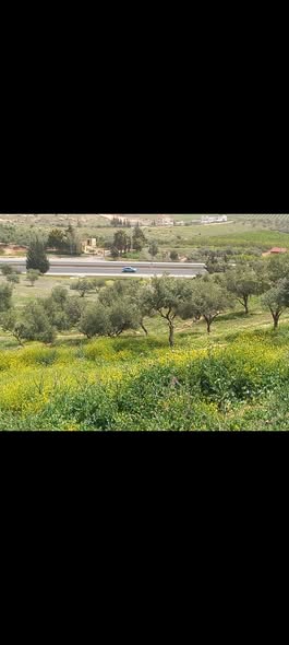 أرض سكنية بإطلالة رائعة للبيع في جرش – الخضرا الفوقاء - 5