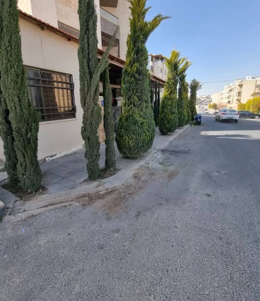 شقة فاخرة للإيجار في شفا بدران