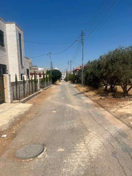 أرض مميزة على شارعين في عين الباشا - فرصة استثمارية - 2